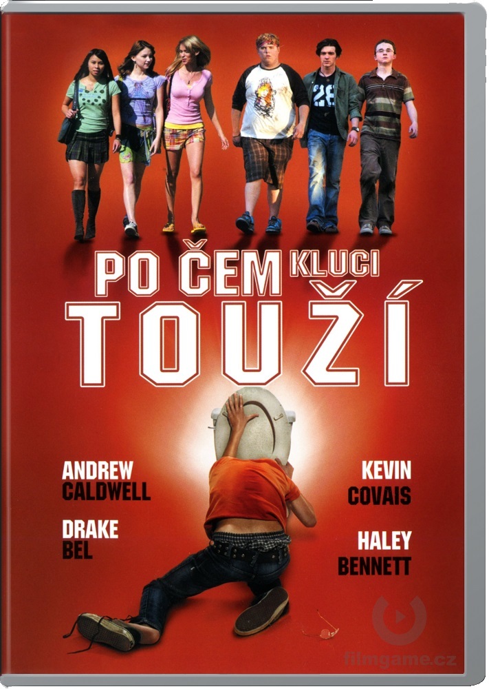 Po čem kluci touží - DVD