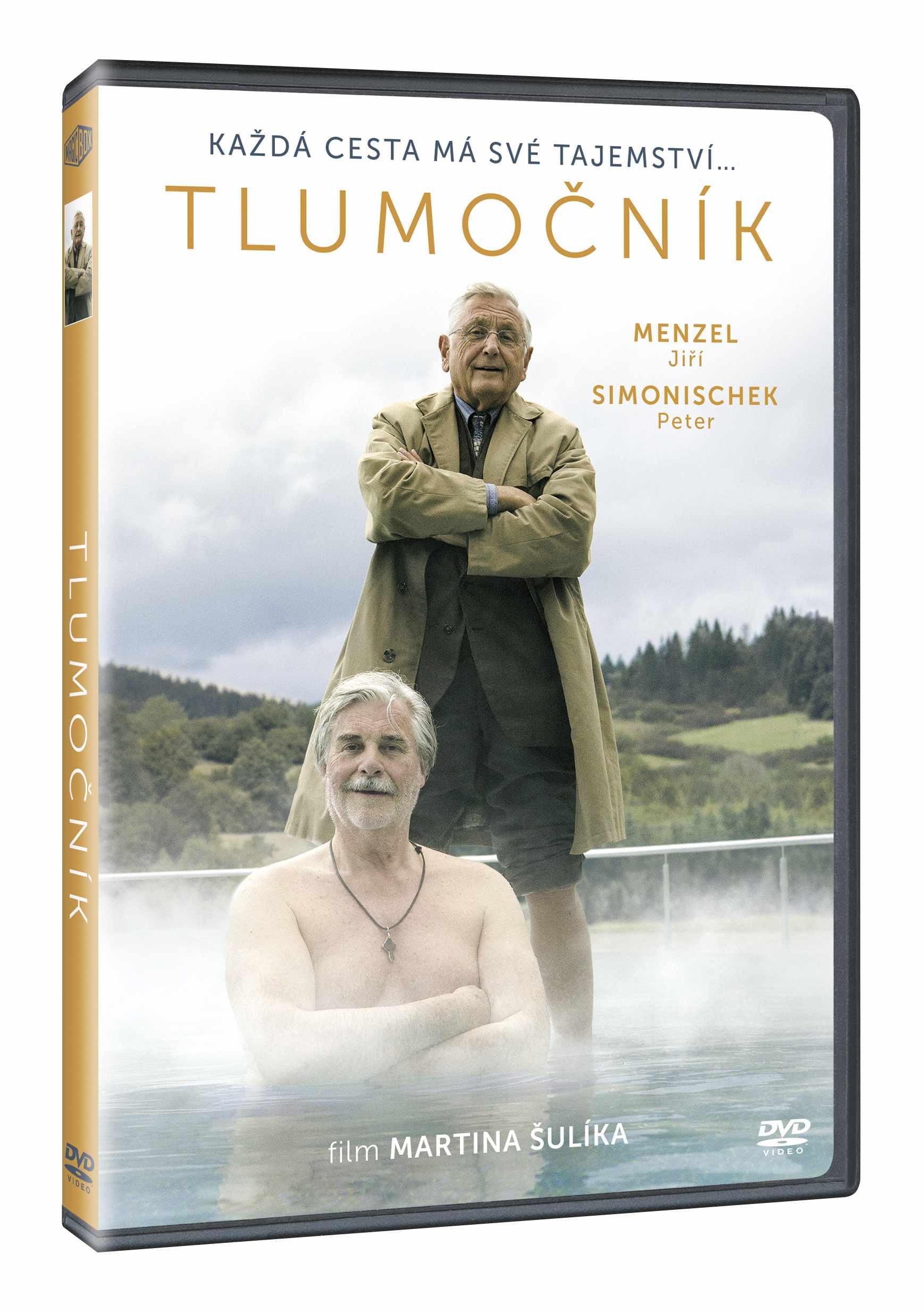 Tlumočník - DVD