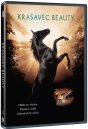 náhled Krasavec Beauty - DVD