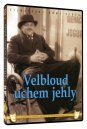 náhled Velbloud uchem jehly - DVD