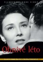 náhled Baarová Lída - Zlatá Kolekce - 4 DVD