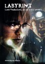 náhled Labyrint (2012) - DVD