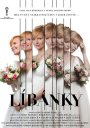 náhled Líbánky - DVD