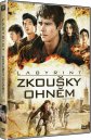 náhled Labyrint: Zkoušky ohněm - DVD