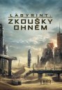 náhled Labyrint: Zkoušky ohněm - DVD