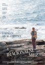 náhled Iracionální muž - DVD