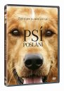 náhled Psí poslání - DVD