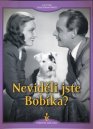 náhled Neviděli jste Bobíka? - DVD Digipack