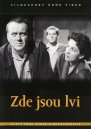 náhled Zde jsou lvi - DVD
