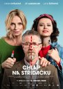 náhled Chlap na střídačku - DVD