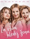 náhled Za vším hledej ženu - DVD