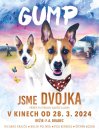 náhled Gump - jsme dvojka - DVD