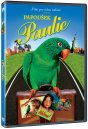náhled Papoušek Paulie - DVD