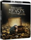 náhled Fantastická zvířata a kde je najít - 4K Ultra HD Blu-ray + BD Steelbook (bez CZ)