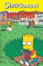 náhled Simpsonovi - Fikaný filuta