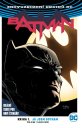náhled Batman - Já jsem Gotham