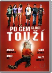 Po čem kluci touží - DVD