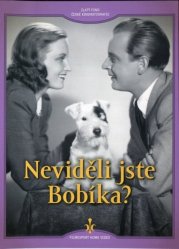 Neviděli jste Bobíka? - DVD Digipack