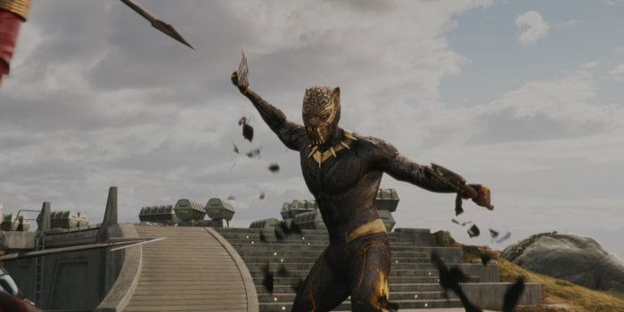 detail Black Panther - DVD