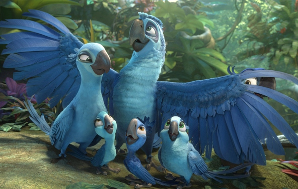 detail RIO 2 - DVD