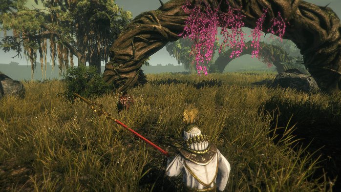 detail Outward - PC