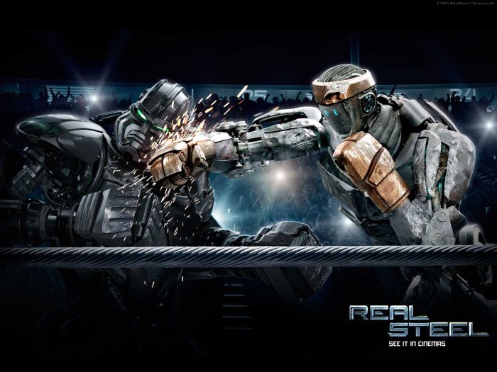 detail Ocelová pěst - DVD