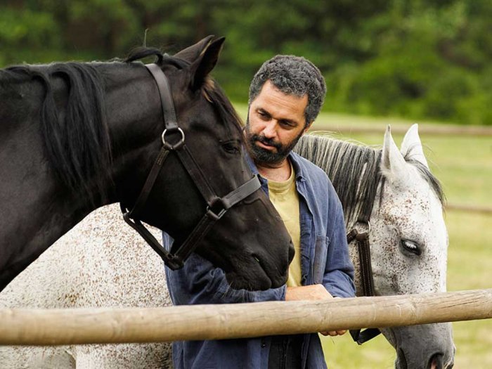 detail Zdivočelá země (remasterovaná verze) - 12 DVD