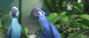 náhled Rio - Blu-ray 3D+2D (2BD)