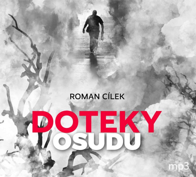 detail Doteky osudu - CD/MP3 audiokniha
