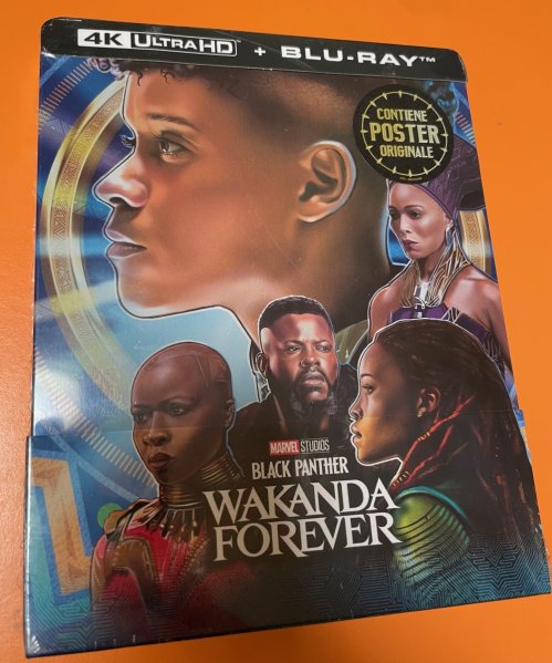 detail Black Panther: Wakanda nechť žije - 4K + BD Steelbook (bez CZ) OUTLET