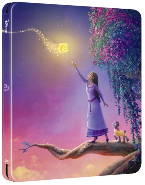 detail Přání - Blu-ray Steelbook (bez CZ)