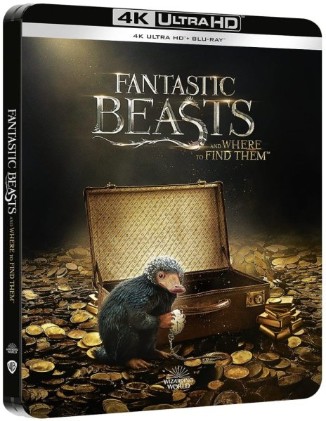 detail Fantastická zvířata a kde je najít - 4K Ultra HD Blu-ray + BD Steelbook (bez CZ)