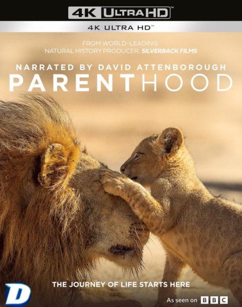 detail David Attenborough: Parenthood - 4K Ultra HD Blu-ray (bez CZ)