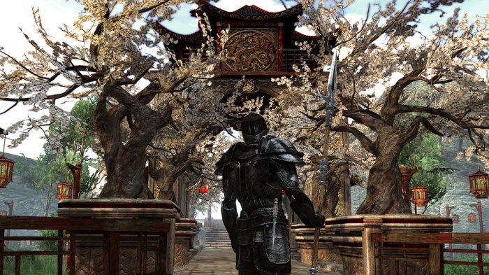 detail Two Worlds II - PC