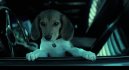 náhled John Wick - DVD