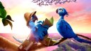 náhled RIO 2 - DVD