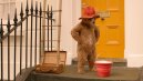 náhled Paddington 2 - DVD