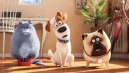 náhled Tajný život mazlíčků - Blu-ray 3D + 2D (2 BD)