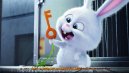 náhled Tajný život mazlíčků - Blu-ray 3D + 2D (2 BD)