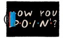náhled Rohožka Friends - How You Doin?