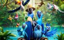 náhled RIO 2 - DVD