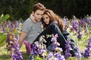 náhled Twilight sága: Rozbřesk - 2. část - Blu-ray
