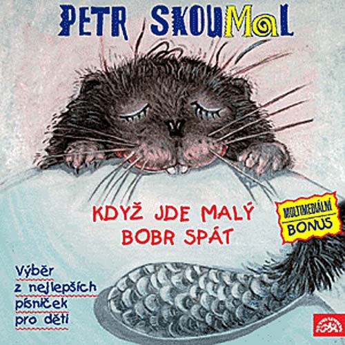 detail SKOUMAL PETR - KDYŽ JDE MALÝ BOBR SPÁT - CD