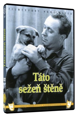 Táto sežeň štěně - DVD