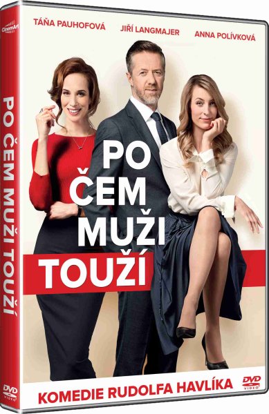 detail Po čem muži touží - DVD