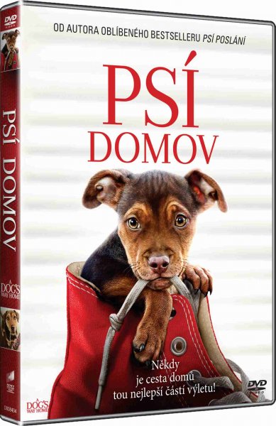 detail Psí domov - DVD