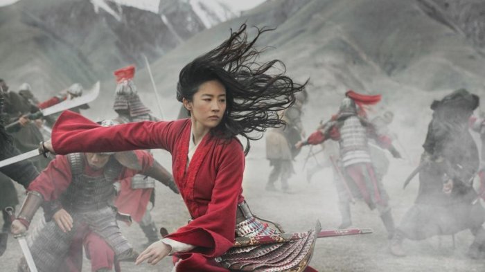 detail Mulan (2020) - DVD