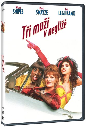 Tři muži v negližé - DVD