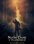 náhled Notre-Dame v plamenech - DVD