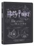 náhled Harry Potter a Relikvie smrti 1. část - Blu-ray + DVD - Steelbook